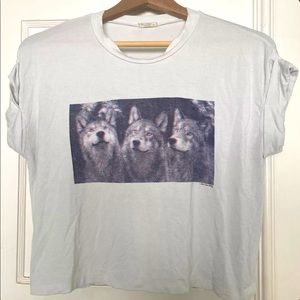 Brandy Melville wolf cropped top